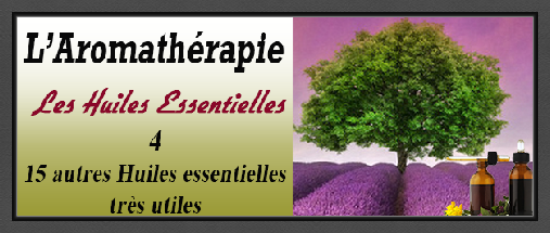 aromatherapie-4-15_autres_huiles-2-2.pdf