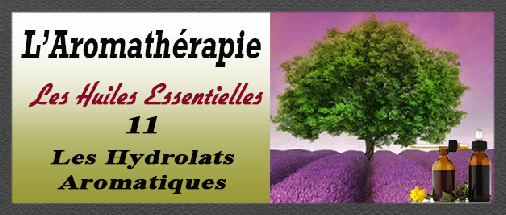 aromatherapie- 11_hydrolats_aromatiques.pdf