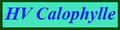calophylle.pdf