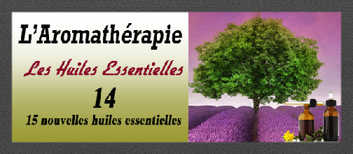 aromatherapie_14_15_nouvelles_HE-0.pdf