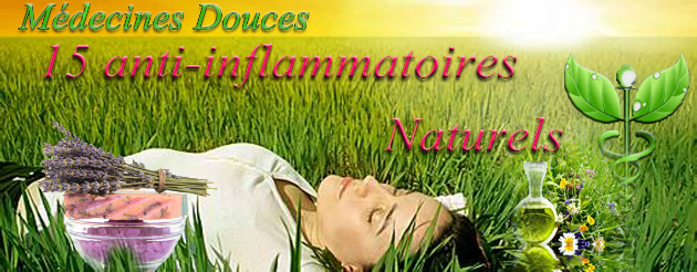 les_anti_inflammatoires_naturels.pdf