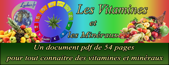 Les vitamines et les minéraux.pdf