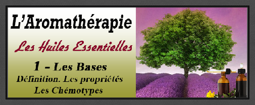 l'aromatherapie-les_bases.pdf
