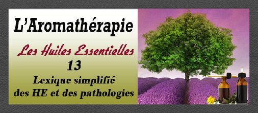 aromatherapie-13_lexique_simplifie_19_12.pdf