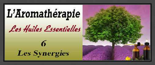 aromatherapie-6_synergies.pdf