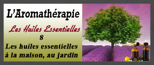 aromatherapie_8_HE_maison_jardin-10-5-16.pdf