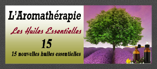 aromatherapie_15_15 HE.pdf